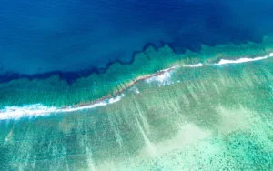 Read more about the article Eight ways banks can move AI from pilot to performance